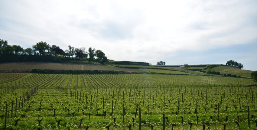Bordo Mérignac: privāto reaktīvo noma 