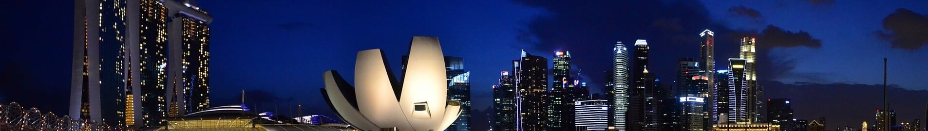 Singapūra: privātā reaktīvā lidmašīna noma 