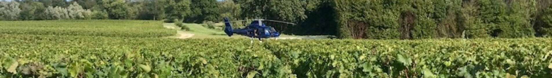 Iepazīstiet vīna dārzus ar helikopteru