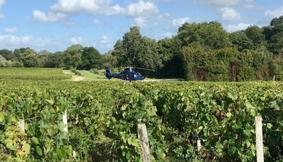 Iepazīstiet vīna dārzus ar helikopteru
