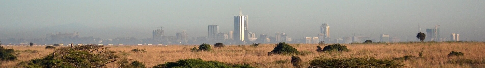 Nairobi: privātā reaktīvā lidmašīna noma 