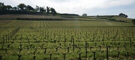 Vannes : privātā reaktīvā lidmašīna noma 