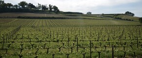 Bordo Mérignac: privāto reaktīvo noma 