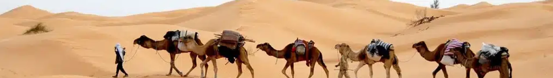 Tunisija: privātā reaktīvā lidmašīna noma