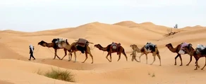Tunisija: privātā reaktīvā lidmašīna noma