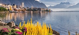 Minhene - Cīrihe : privātā reaktīvā lidmašīna noma 