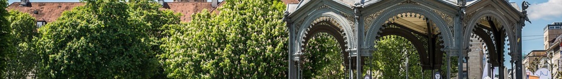 Parīze - Štutgarte : privātā reaktīvā lidmašīna noma 
