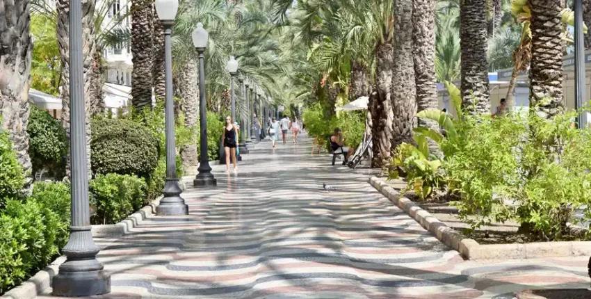 Alikante Elche : privātā reaktīvā lidmašīna noma 