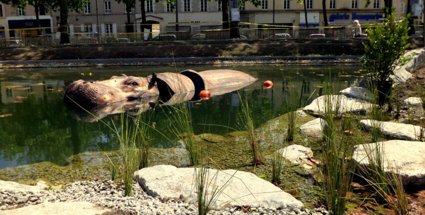 La Roche-sur-Yon: privāto reaktīvo noma