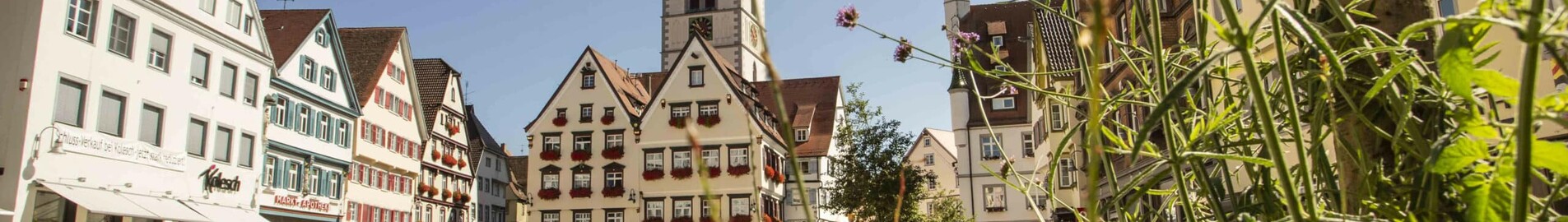 Biberach An Der Riss : privāto reaktīvo noma 