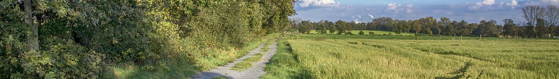 Dinslaken Schwarze Heide : privātā reaktīvā lidmašīna 