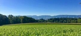 Privāto reaktīvo noma Fribourg-Ecuvillens 
