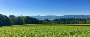 Dubendorf: privāto reaktīvo noma 