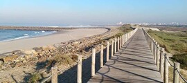 Comporta : privātā reaktīvā lidmašīna noma
