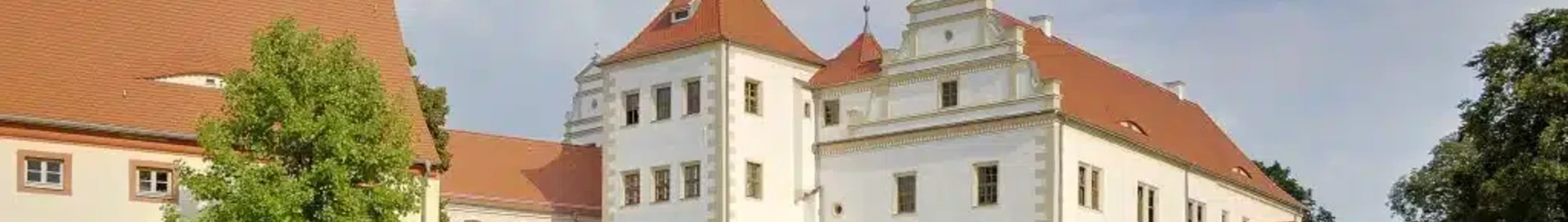 Finstervalde: privāto reaktīvo noma 