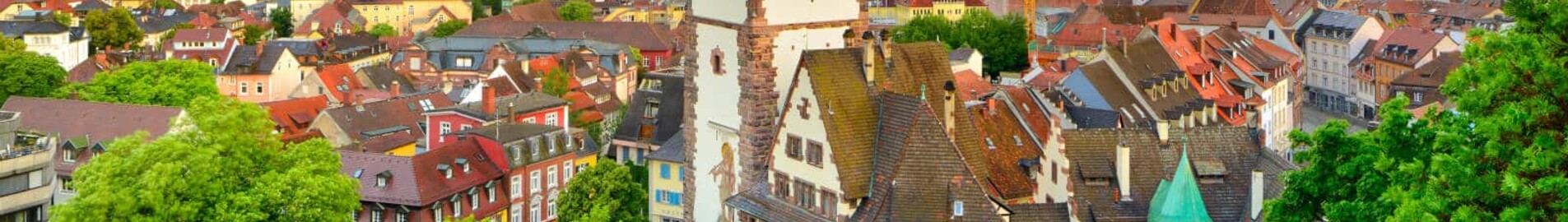 Freiburg-en-Brisgau: privātā reaktīvā lidmašīna noma 
