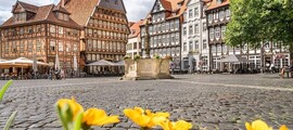 Niederstetten: privātā reaktīvā lidmašīna noma 
