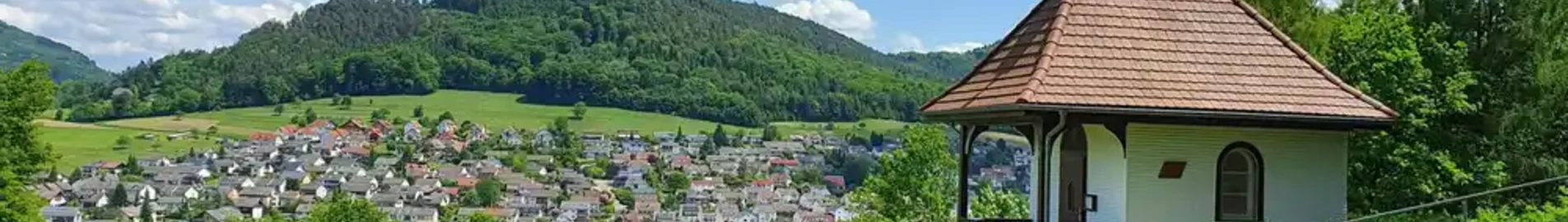Lahr Black Forest: privātā reaktīvā lidmašīna noma 