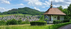 Lahr Black Forest: privātā reaktīvā lidmašīna noma 