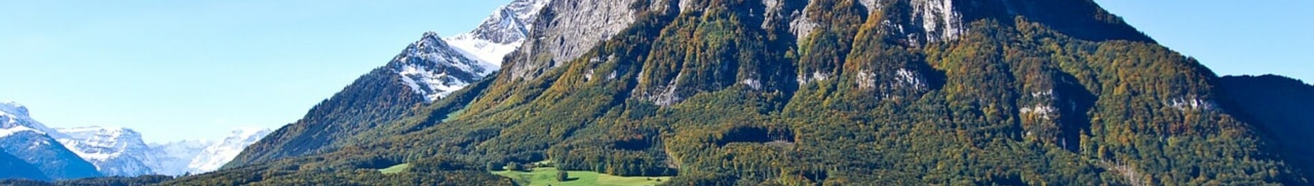 Mollis : privāto reaktīvo lidmašīnu noma 