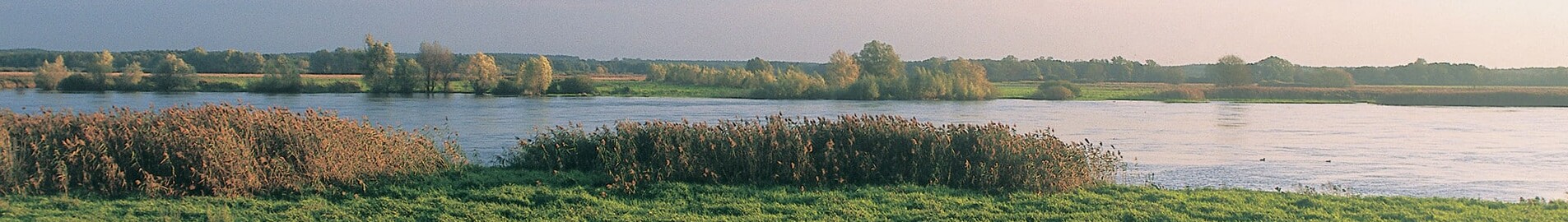 Neuhardenberg Wriezen : privātā reaktīvā lidmašīna atrašanās vieta 