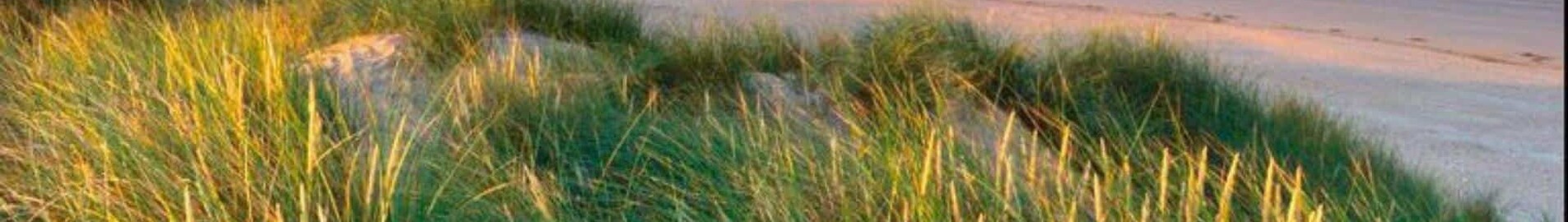 Pembrey: privāto reaktīvo noma 