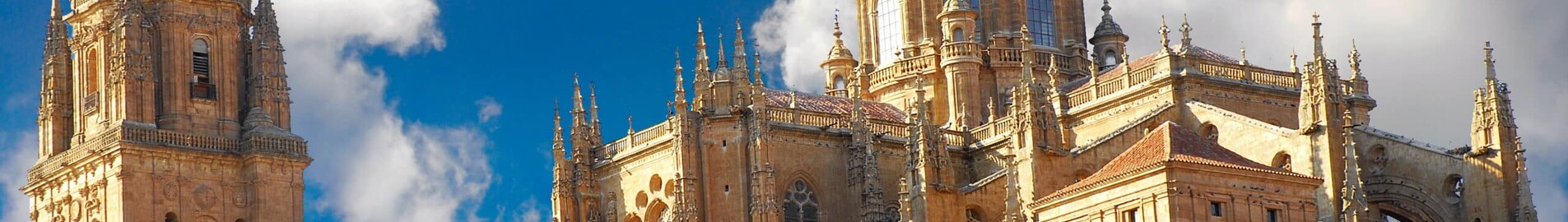 Salamanca Matacan : privātā reaktīvā lidmašīna noma 
