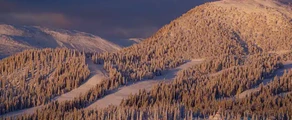 Are Ostersund : privātā reaktīvā lidmašīna noma
