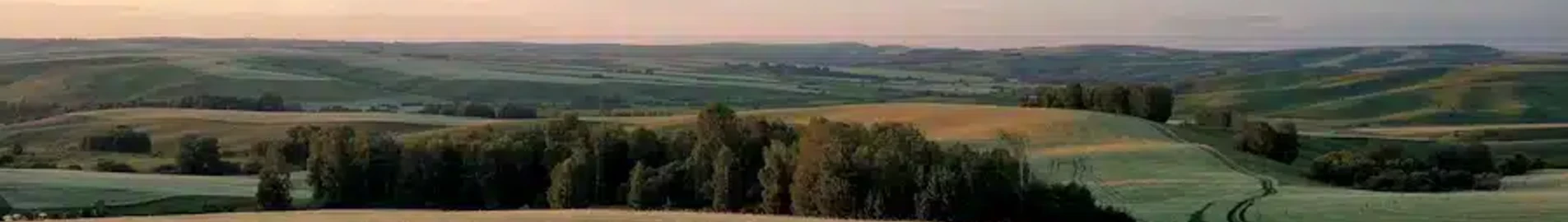 Barnaula : privātā reaktīvā lidmašīna noma