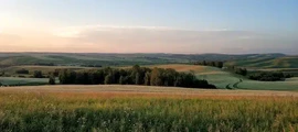 Bogashevo : privāto reaktīvo lidmašīnu noma