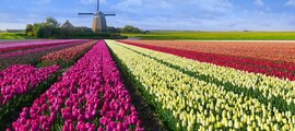 Middelburg Midden Zeeland : privātā reaktīvā lidojuma vieta