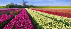 Hoogeveen: privātā reaktīvā lidmašīna atrašanās vieta