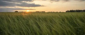 Kemerovo : privāto reaktīvo lidmašīnu noma