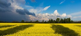 Odesa : privātā reaktīvā lidmašīna noma