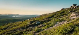Orebro : privātā reaktīvā lidmašīna noma