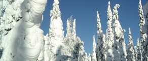 Kuusamo : privātā reaktīvā lidmašīna noma 