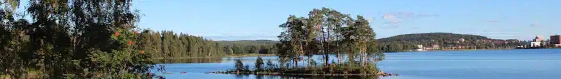 Ludvika: privātā reaktīvā lidmašīna noma