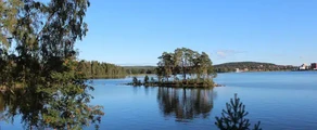 Ludvika: privātā reaktīvā lidmašīna noma