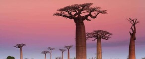 Madagaskara: Privāto lidmašīnu noma