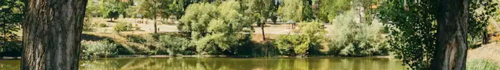 Moldova : Privāto reaktīvo lidmašīnu noma