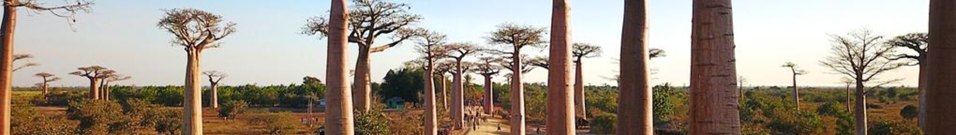 Morondava : privātā reaktīvā lidmašīna noma