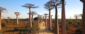 Morondava : privātā reaktīvā lidmašīna noma