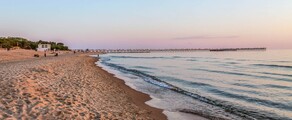 Palanga : privātā reaktīvā lidmašīna noma 