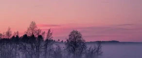 Pitea : privātā reaktīvā lidmašīna noma