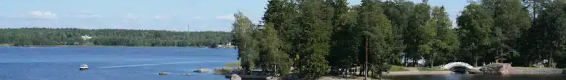 Platovs: privātā reaktīvā lidmašīna noma