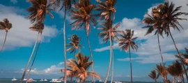 Puerto Plata G. Luperon: privāto reaktīvo lidmašīnu atrašanās vieta