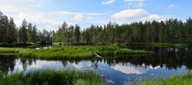 Kouvolaselanp Selanpaa : privātā reaktīvā lidmašīna noma 