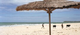 Madagaskara : Privātā reaktīvā lidmašīna noma