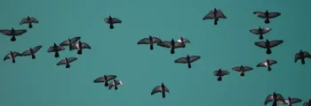 Ostersund Optand : location de jet privé