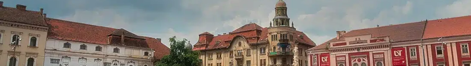 Satu Mare: privātā reaktīvā lidmašīna noma
